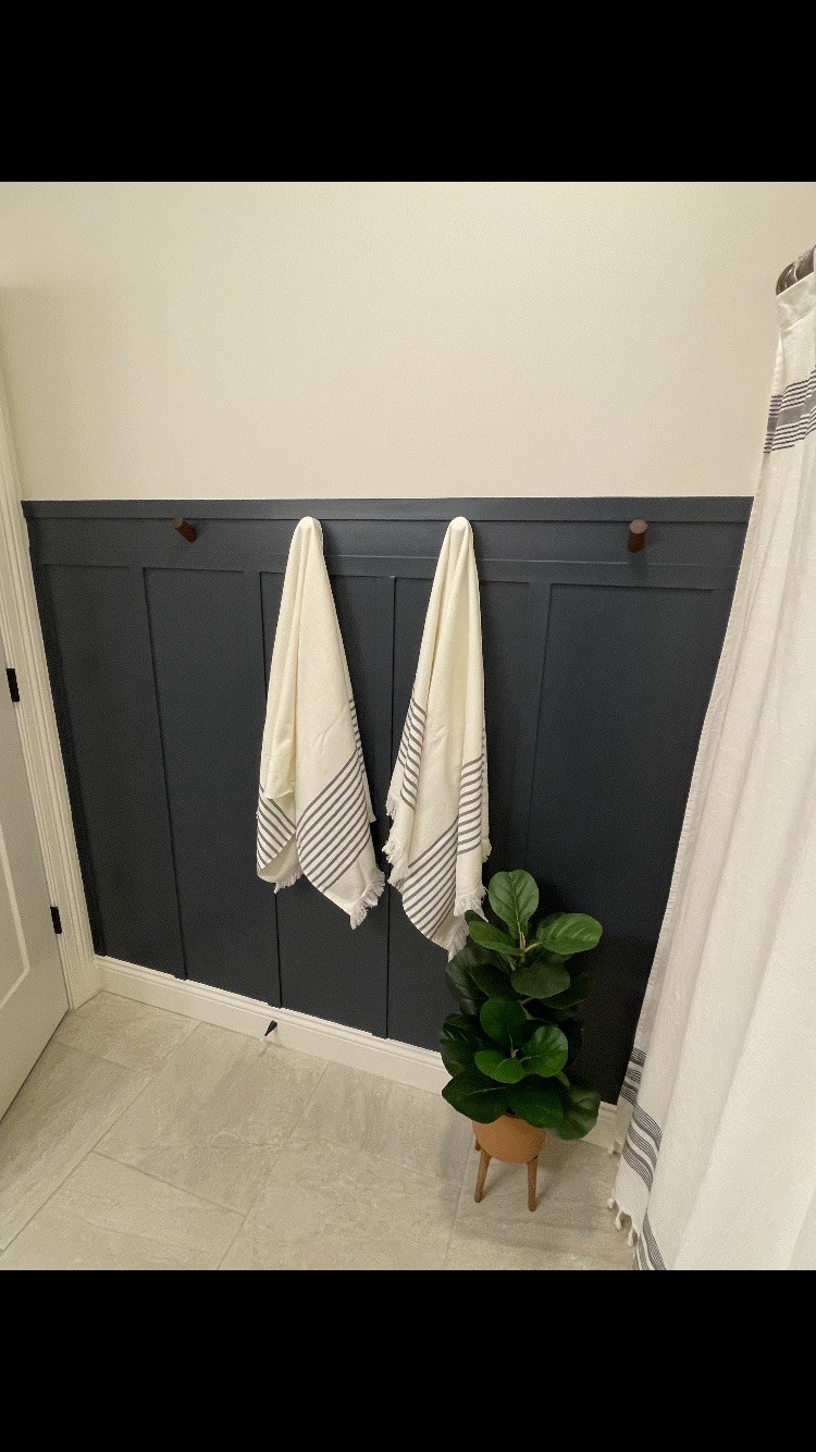 Dark painted bathroom accent wall